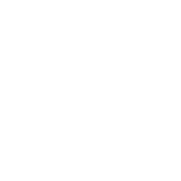 White 2 Square Flipping 2